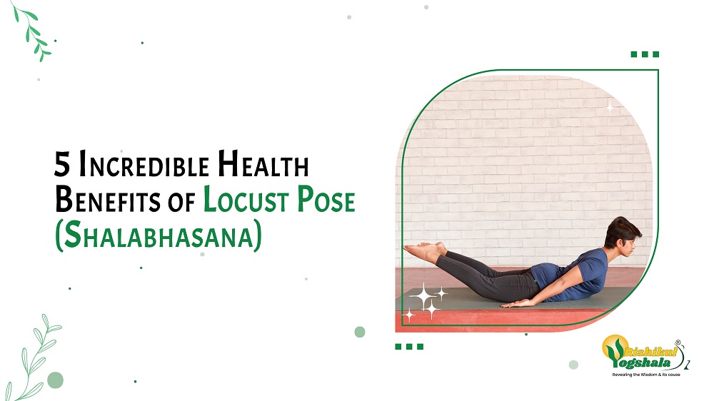 5 Incredible Health Benefits of Locust Pose (Shalabhasana)