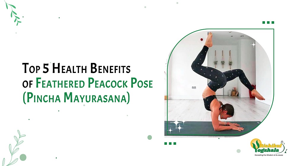 Top 5 Health Benefits of Feathered Peacock Pose(Pincha Mayurasana)