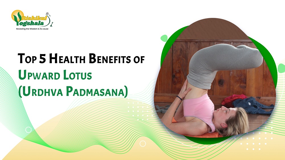 Top 5 Health Benefits of Upward Lotus (Urdhva Padmasana)