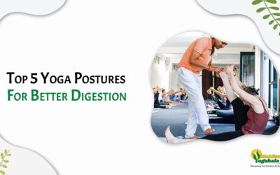 Top 5 Yoga Postures For Better Digestion