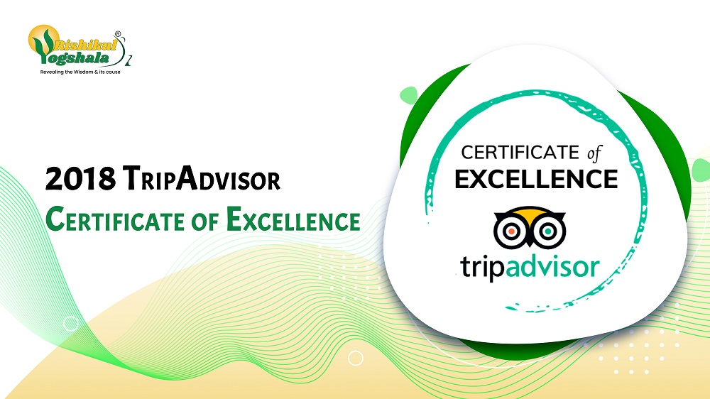 Receiving The TripAdvisor Certificate of Excellence 2018