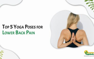 Top 5 Yoga Poses for Lower Back Pain