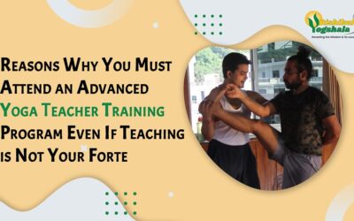 Reasons Why You Must Attend an Advanced Yoga Teacher Training Program Even If Teaching is Not Your Forte