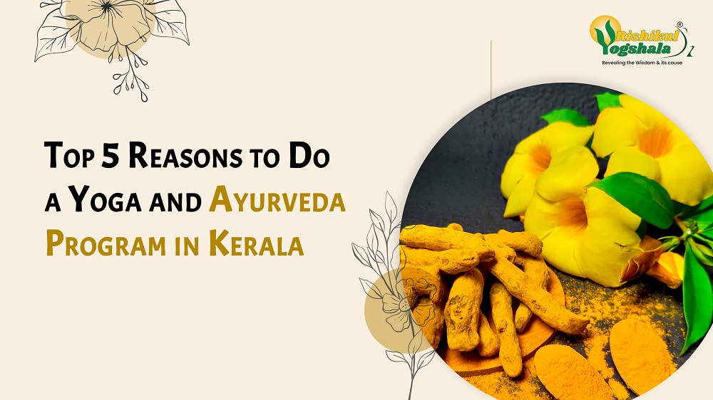 Top 5 Reasons to Do a Yoga and Ayurveda Program in Kerala