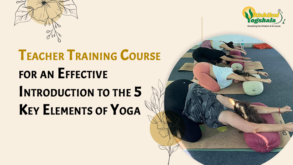 Teacher Training Course for an Effective Introduction to the 5 Key Elements of Yoga