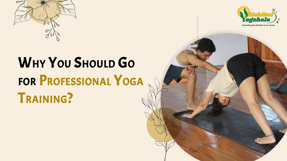 Why You Should Go for Professional Yoga Training?