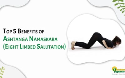 Top 5 Benefits of Ashtanga Namaskara (Eight Limbed Salutation)