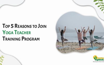 Top 5 Reasons to Join Yoga Teacher Training Program