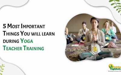 5 Most Important Things You will learn during Yoga Teacher Training