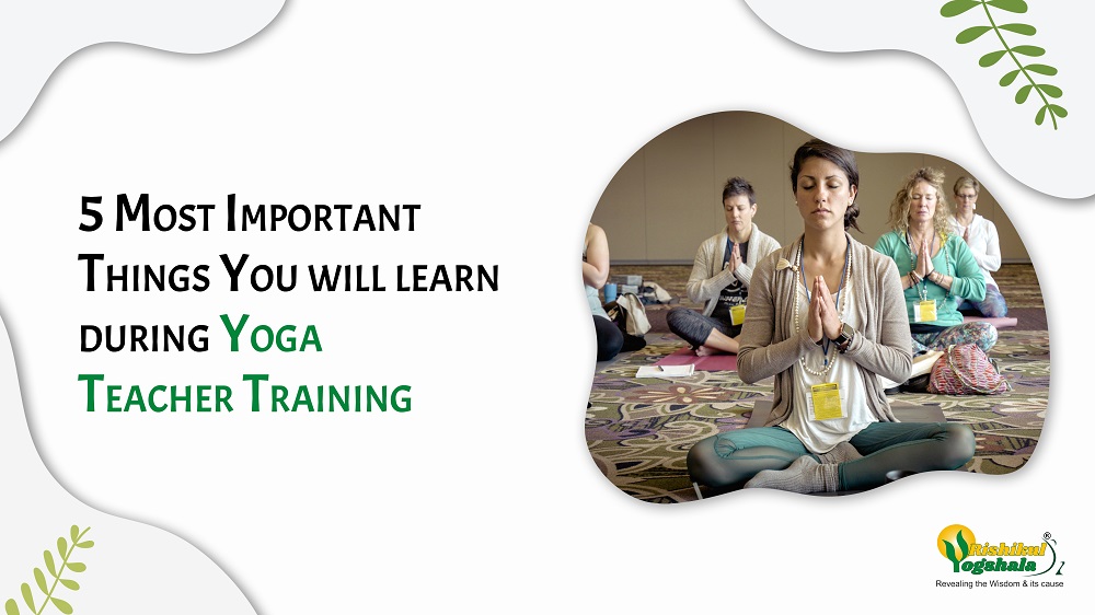 5 Most Important Things You will learn during Yoga Teacher Training