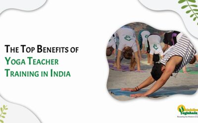 The Top Benefits of Yoga Teacher Training in India