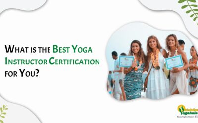 What is the Best Yoga Instructor Certification for You?