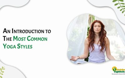 An Introduction to The Most Common Yoga Styles