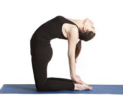 8-perfect-yoga-postures-for-a-glowing-sking-ustrasana