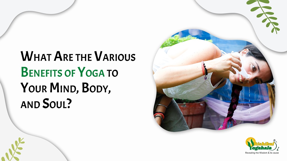 What Are the Various Benefits of Yoga to Your Mind, Body, and Soul?