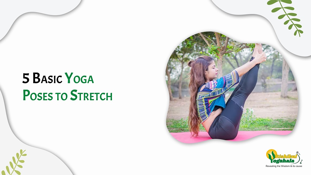 5 Basic Yoga Poses to Stretch