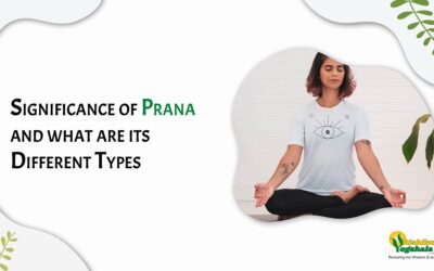 Significance of Prana and what are its Different Types