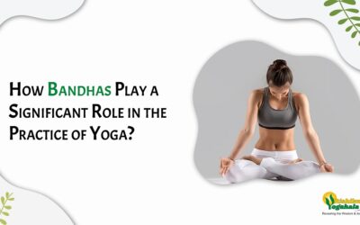 How Bandhas Play a Significant Role in the Practice of Yoga?