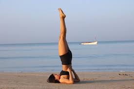 ashtanga-yoga-primary-series-shoulder-stand