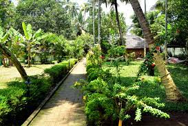 dwell-in-an-idyllic-kerala-home-the-location