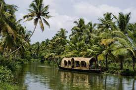 dwell-in-an-idyllic-kerala-home-the-panorama