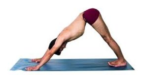 six-best-hatha-yoga-poses-for-beginners-downward-facing-dog-pose