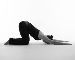 The Health Benefits of Anahatasana (Heart Melting Pose)