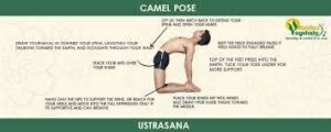 Top 7 Health benefits of ustrasana (Camel Pose)